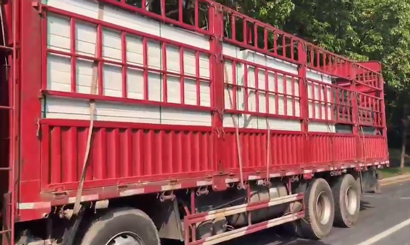 旭東PVC圍擋批發(fā)直供龍崗工地，2500米圍擋當(dāng)天閃電送達(dá)